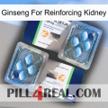 Ginseng For Reinforcing Kidney viagra5